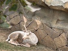 -祥源·阜阳生态乐园