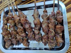 -民族烤羊·烤羊肉串·烤羊排(南城店)