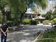 -文瀛公园
