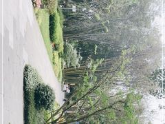 -望江楼公园