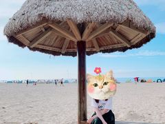 -那香海钻石沙滩浴场