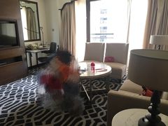 -广州富力空港假日酒店