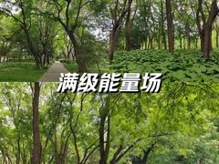 -玲珑塔公园