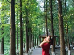 -艾溪湖湿地公园