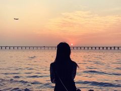 -宝安西湾红树林湿地公园