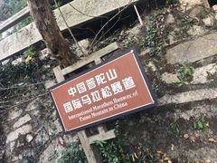 -普陀山风景区-佛顶山