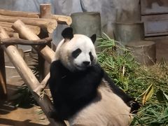 -深圳野生动物园