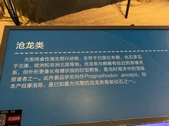 -贝林大翅鲸简餐厅(国家海洋博物馆店)