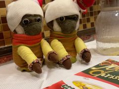 -中山威尼斯西餐厅(三乡总店)