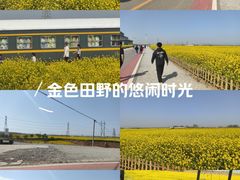 -石家庄极地海洋世界