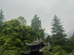 -青城山