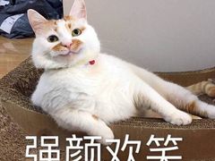 -bluefrog蓝蛙(悠唐购物中心店)