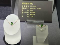 -湖南省地质博物馆