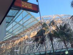 -Pancakes on the rocks(冲浪者天堂店)