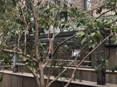 -杭州平安悦坊 PAFC LIVING