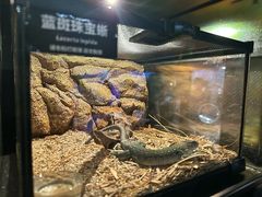 -太平洋海底世界