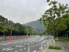 -南沙蒲洲花园