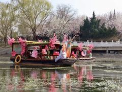 -桃花堤公园