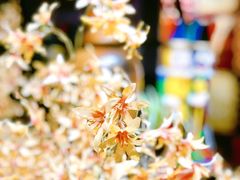 -范设计花园餐酒咖·中西餐·咖啡厅·酒馆