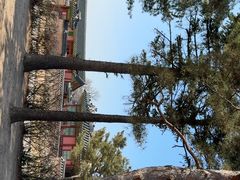 -景福宫