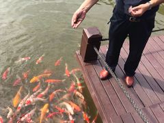 -万佛湖风景区