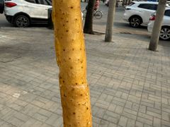 -天津堆姐糖堆刨冰(河东区总店)