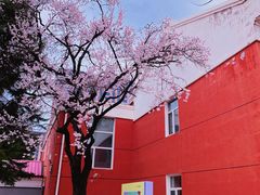 -吉林大学(南岭校区)