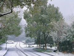 -杭州半山国家森林公园