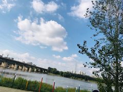 -长白岛森林公园