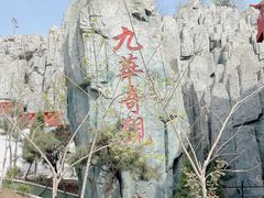 -九华山风景区