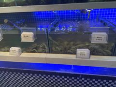 -大众海鲜(巨龙北路店)