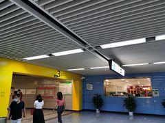 -大龙山(地铁站)