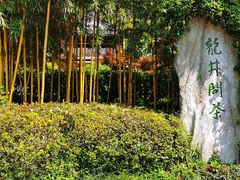 -十八棵（老龙井）御茶园(老龙井店)