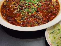 -新概念来凤鱼(璧山店)