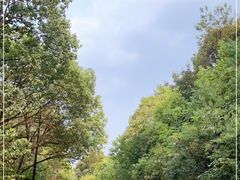 -宝界山林公园