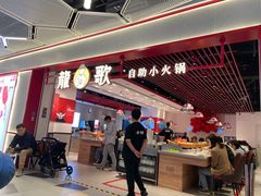 -龍歌自助小火锅(兰山上海路万达店)
