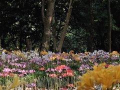 -杭州植物园