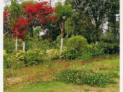 -桤木河湿地公园