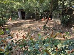-杭州动物园