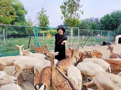 -北京麋鹿生态实验中心