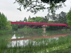 -青枫公园