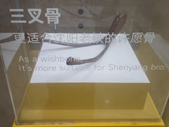 -沈阳铁西万象汇