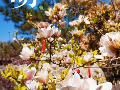 -李叔同故居纪念馆