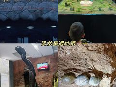 -中国西峡恐龙遗迹园