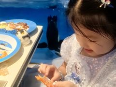 -帝企鹅自助餐厅•儿童岛•真企鹅(长隆企鹅酒店)