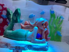-海合安成都极地海洋公园