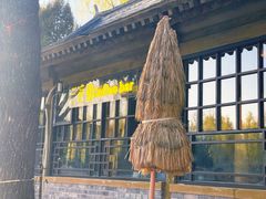 -三忘湖 SWANSEEN(柳荫公园店)