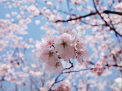 -静安雕塑公园