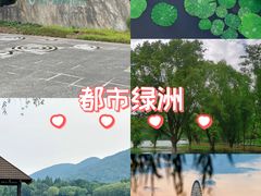 -长广溪湿地公园