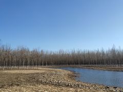 -东郊湿地公园